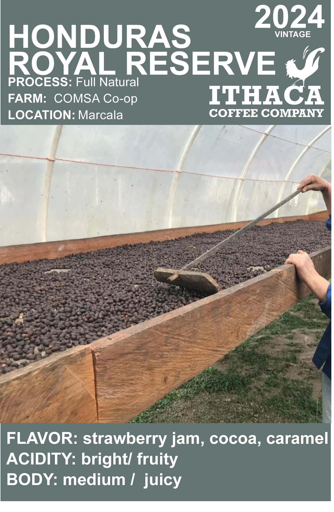 Honduras Reserve Natural Process (bulk)