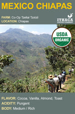 Load image into Gallery viewer, Mexico Chiapas Tzeltal Tzotzil Organic
