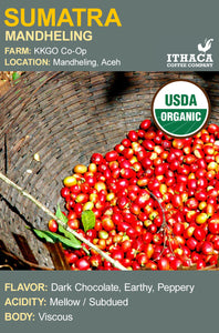 Sumatra Aceh Ketiara Coop Organic (bulk)