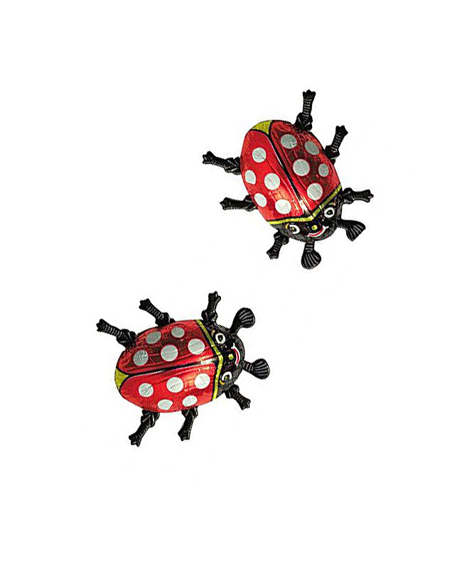 Riegelein Milk Chocolate Ladybug