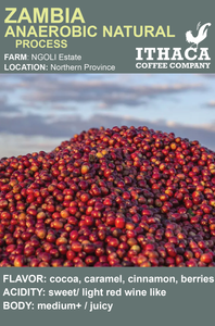 Zambia Anaerobic Natural Process (bulk)